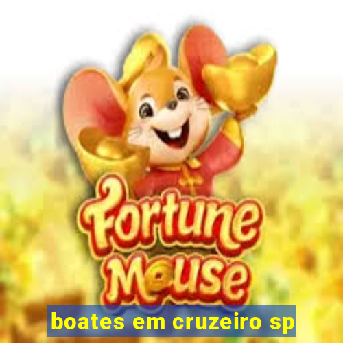 boates em cruzeiro sp